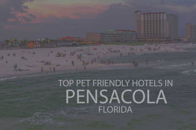Top 11 Pet Friendly Hotels In Pensacola, Florida