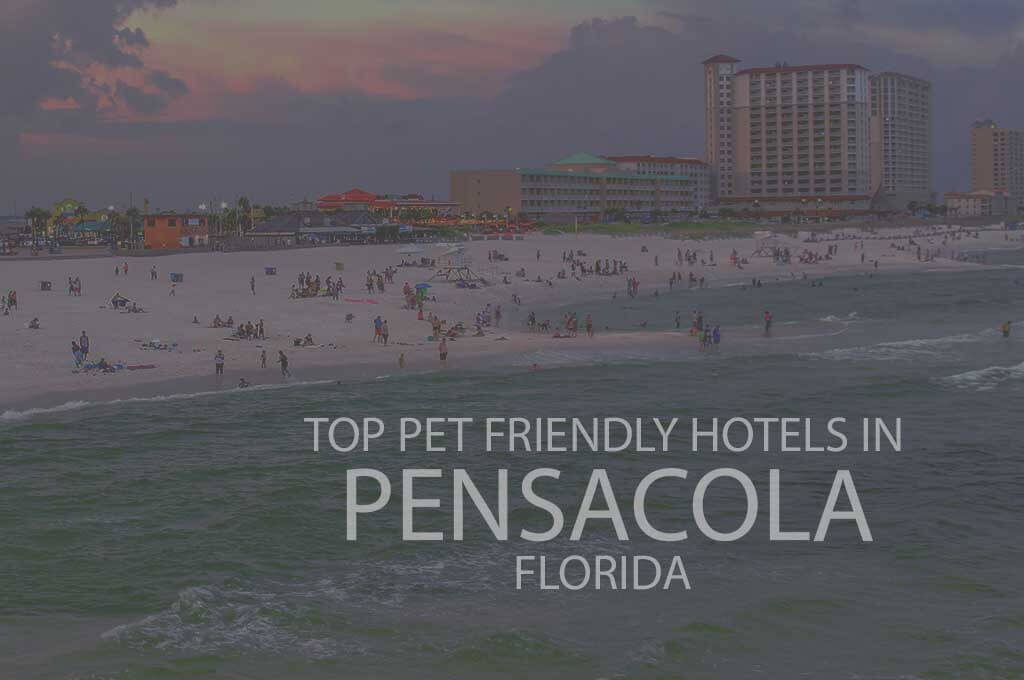 Top 11 Pet Friendly Hotels In Pensacola, Florida