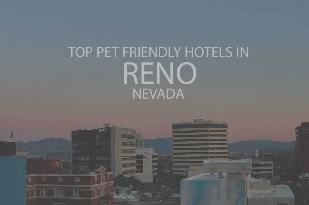 Top 11 Pet Friendly Hotels In Reno NV