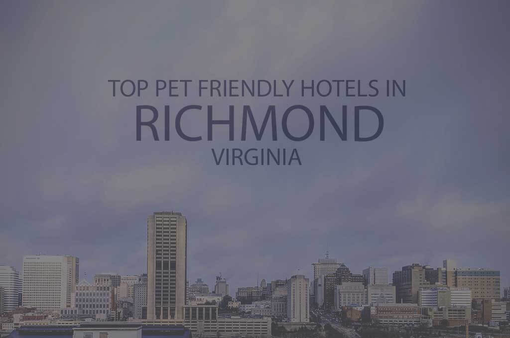 Top 11 Pet Friendly Hotels In Richmond VA