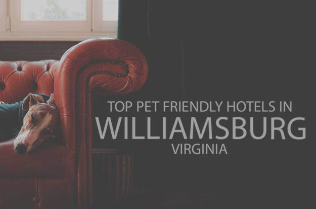 Top 11 Pet Friendly Hotels In Williamsburg, Virginia