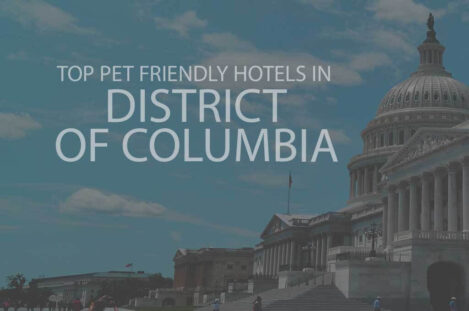 Top 11 Pet Friendly Hotels in District of Columbia