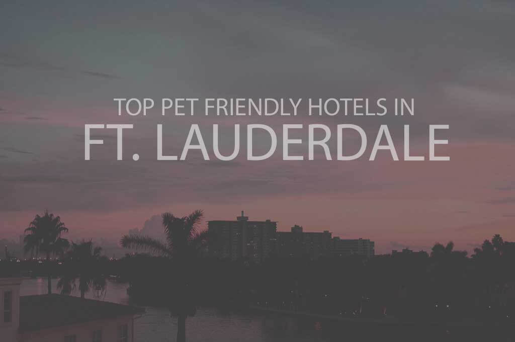 Top 11 Pet Friendly Hotels in Ft Lauderdale