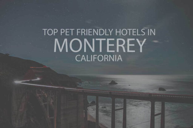 Top 11 Pet Friendly Hotels in Monterey, California