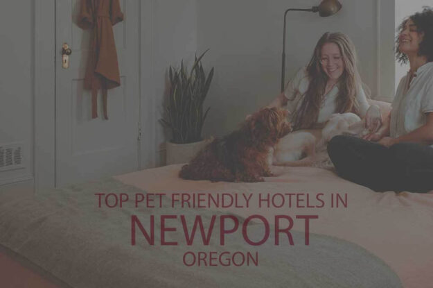 Top 11 Pet Friendly Hotels in Newport OR