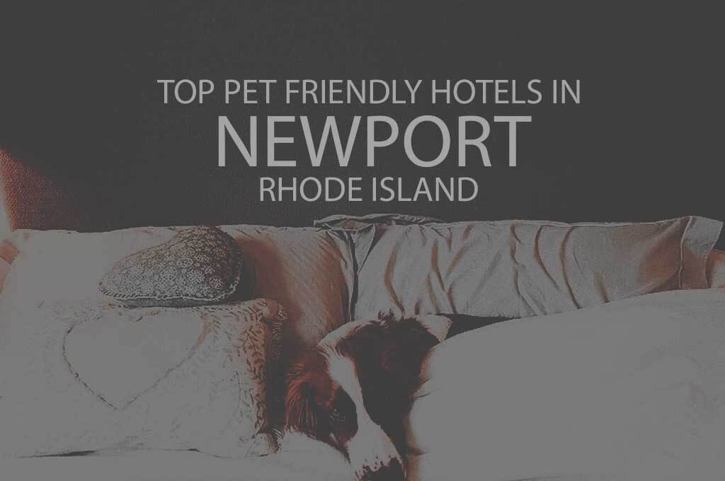 Top 11 Pet Friendly Hotels in Newport, Rhode Island