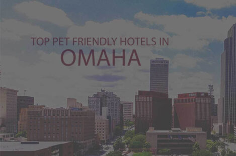 Top 11 Pet Friendly Hotels in Omaha