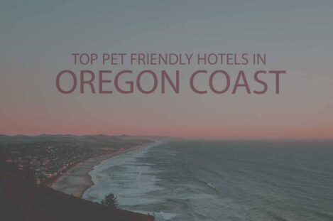 Top 11 Pet Friendly Hotels in Oregon Coast