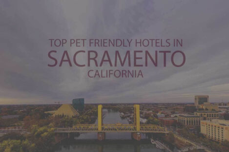 Top 11 Pet Friendly Hotels in Sacramento, California