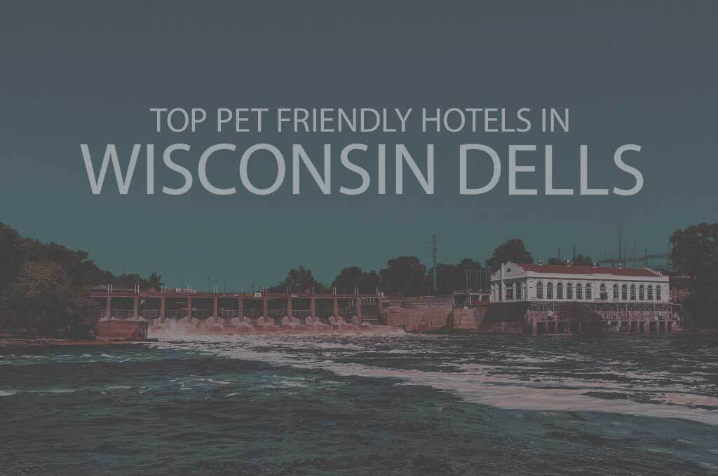 Top 11 Pet Friendly Hotels in the Wisconsin Dells