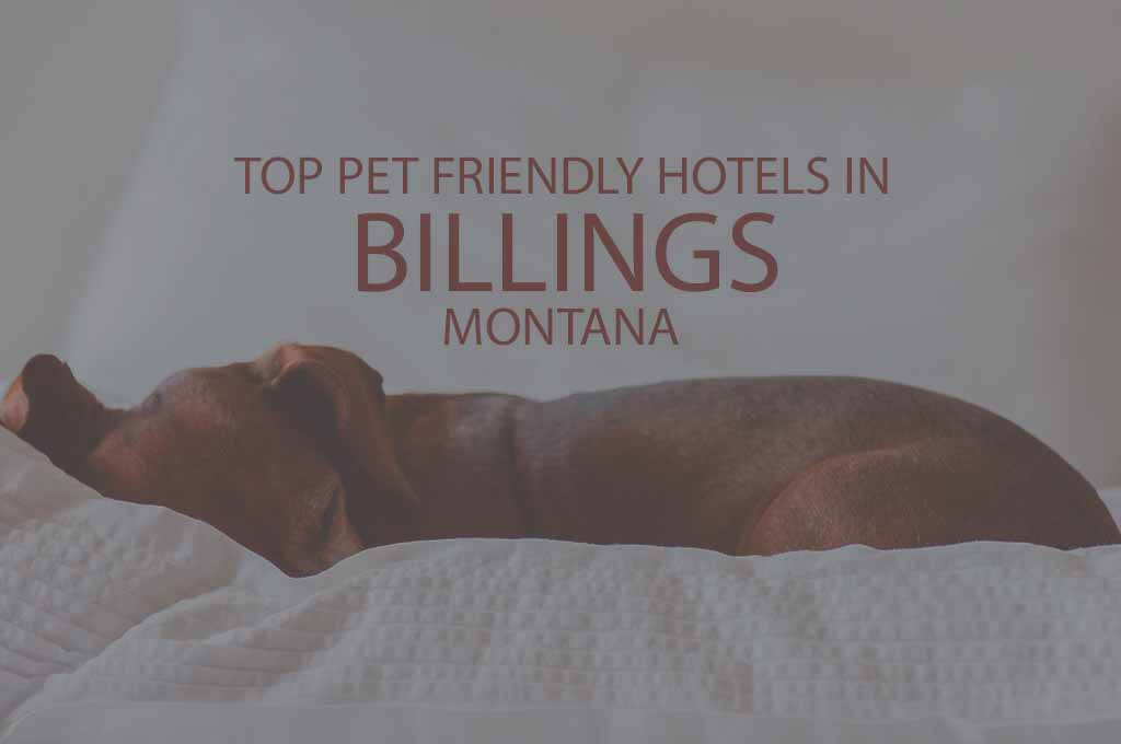 Top 11 Pet Friendly Hotels In Billings, Montana