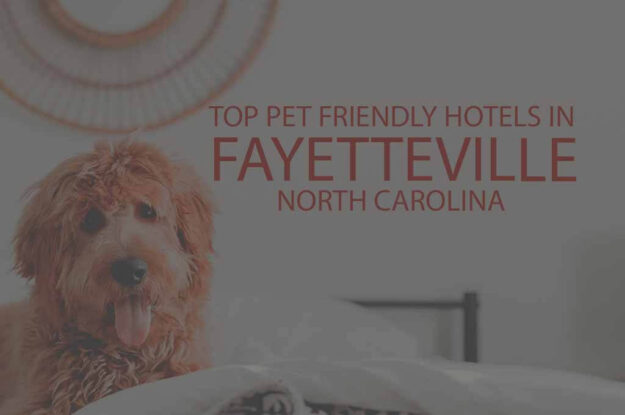 Top 11 Pet Friendly Hotels In Fayetteville, North Carolina