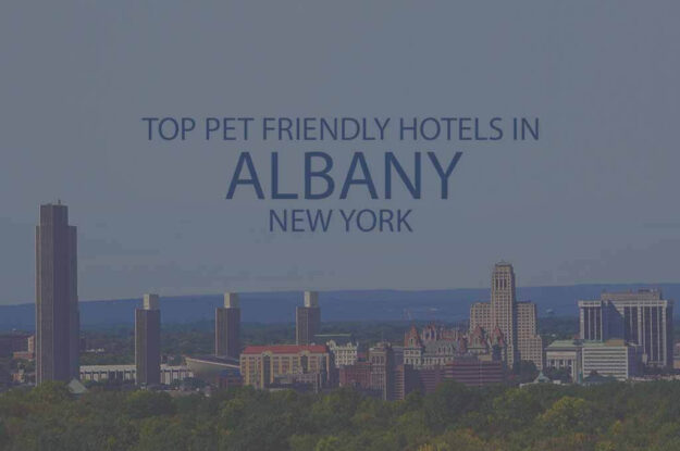 Top 11 Pet Friendly Hotels in Albany, New York