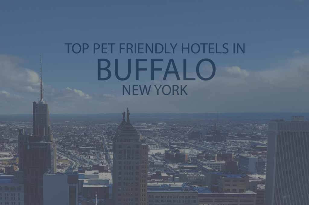 Top 11 Pet Friendly Hotels in Buffalo, New York