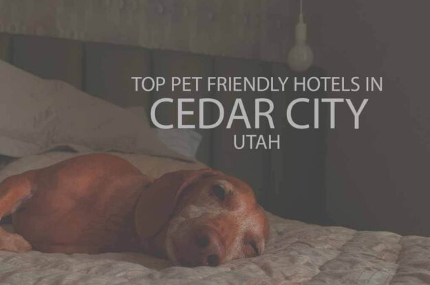 Top 11 Pet Friendly Hotels in Cedar City UT