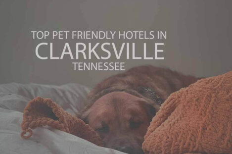 Top 11 Pet Friendly Hotels in Clarksville, Tennessee
