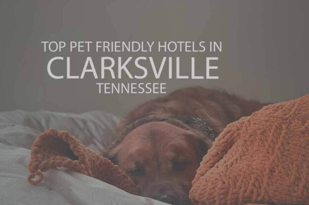 Top 11 Pet Friendly Hotels in Clarksville, Tennessee