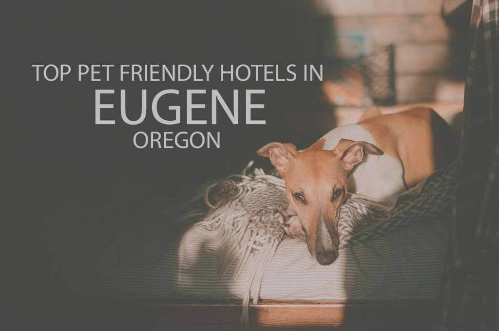Top 11 Pet Friendly Hotels in Eugene, Oregon