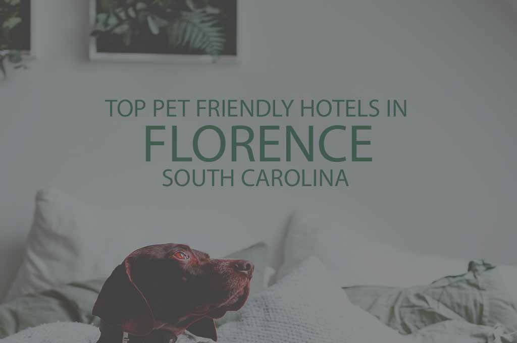 Top 11 Pet Friendly Hotels in Florence SC