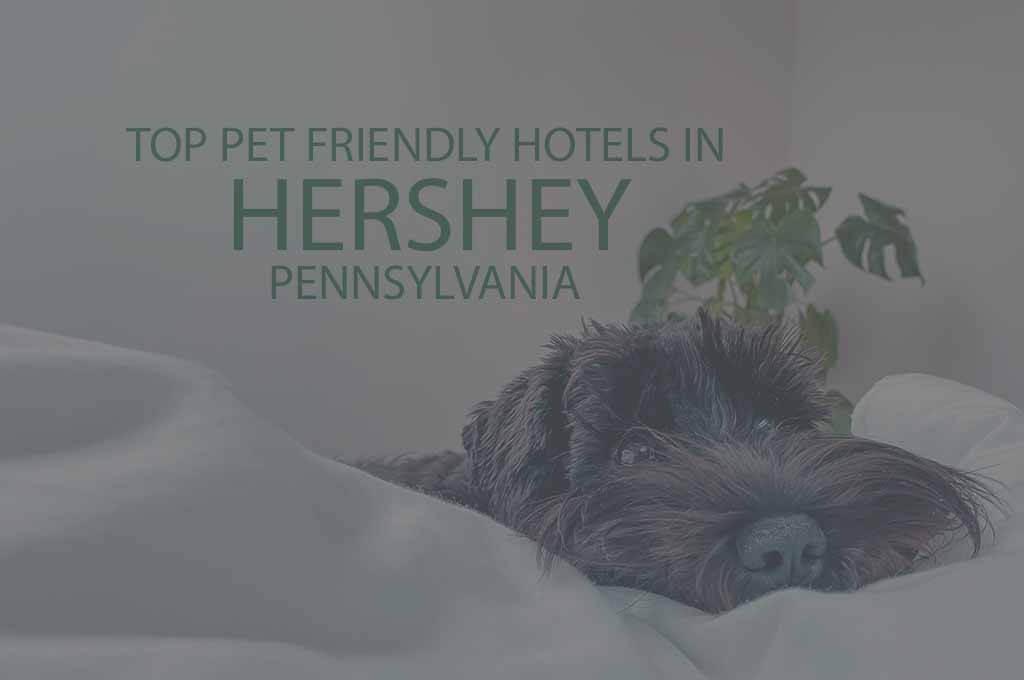 Top 11 Pet Friendly Hotels in Hershey, Pennsylvania