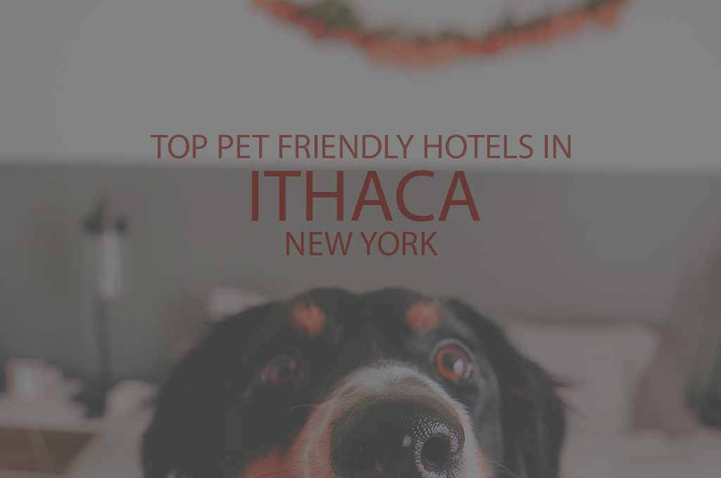 Top 11 Pet Friendly Hotels in Ithaca, New York