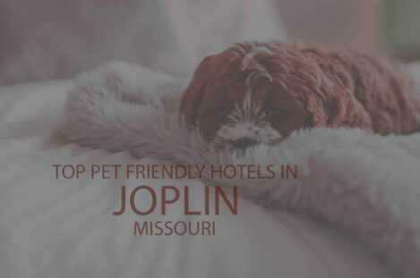 Top 11 Pet Friendly Hotels in Joplin, Missouri
