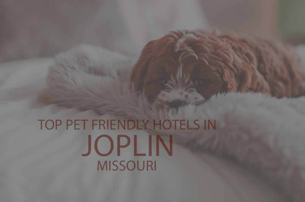 Top 11 Pet Friendly Hotels in Joplin, Missouri
