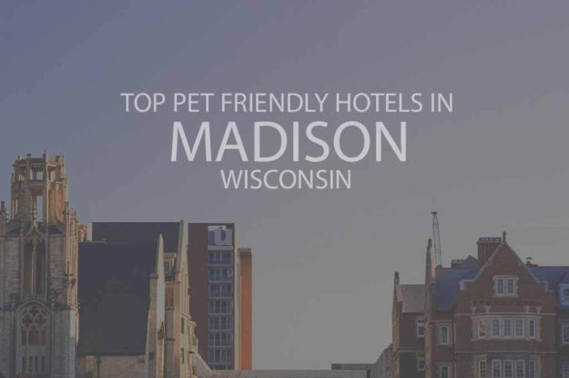 Top 11 Pet Friendly Hotels in Madison WI