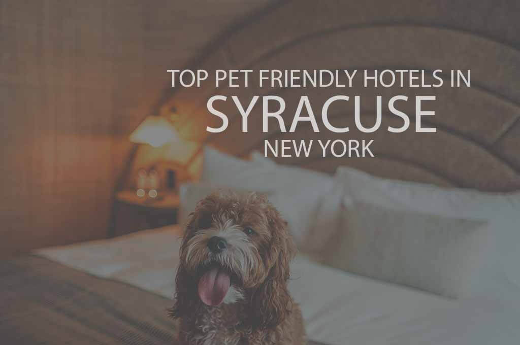Top 11 Pet Friendly Hotels in Syracuse, New York