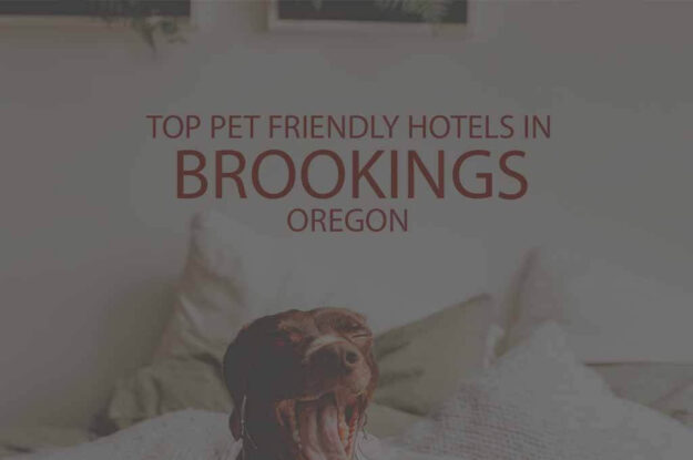 Top 5 Pet Friendly Hotels in Brookings OR