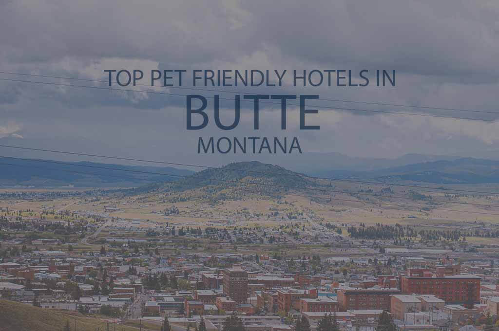 Top 5 Pet Friendly Hotels in Butte MT
