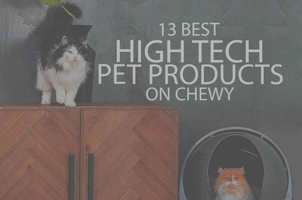 13 Best High Tech Pet Products on Chewy