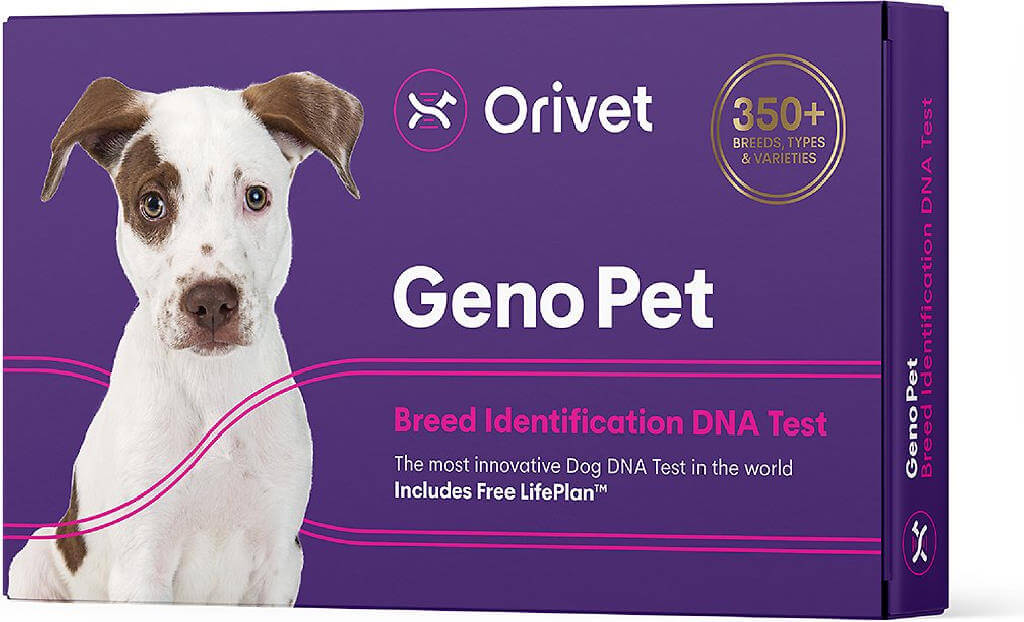Orivet Geno Pet Dog DNA Breed Identification Test - by Chewy