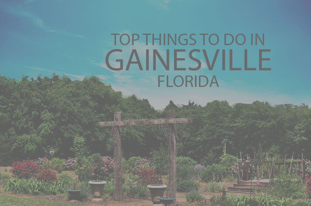 Top 10 Things to Do in Gainesville, Florida