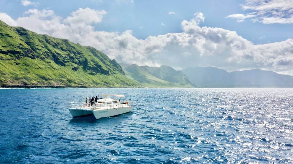 O'ahu Swim with Dolphins Catamaran Cruise - by GetYourGuide