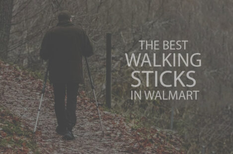 13 Best Walking Sticks in Walmart