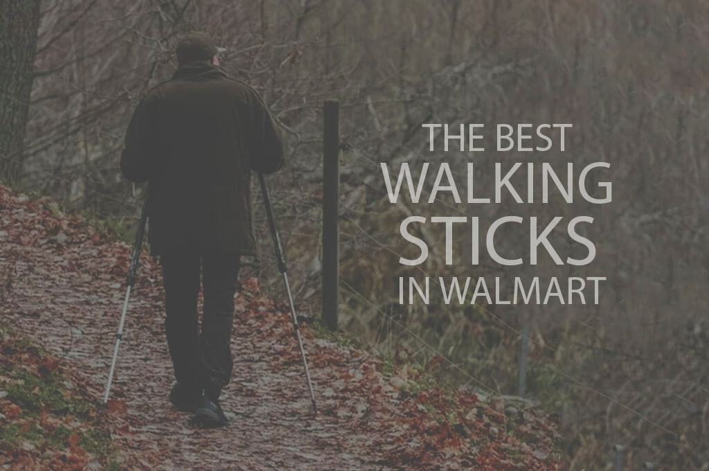 13 Best Walking Sticks in Walmart