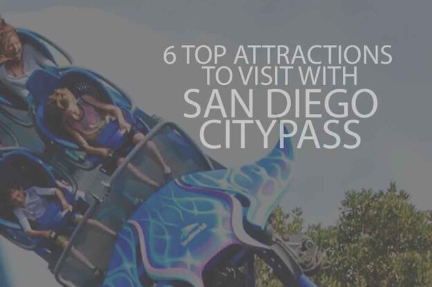 6 Top Attractions to Visit with San Diego Citypass