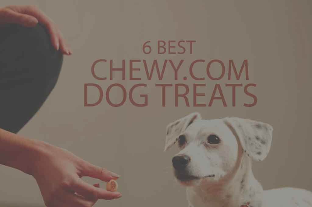 6 Best Chewy.com Dog Treats
