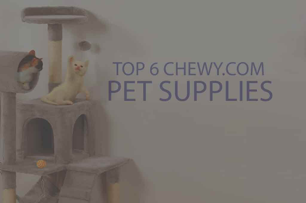 Top 6 Chewy.com Pet Supplies
