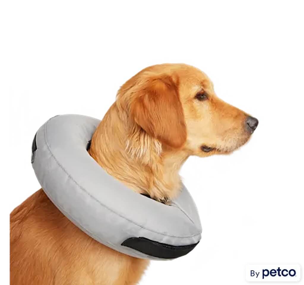 6 Best Dog Cones at Petco 2024 WOW Travel