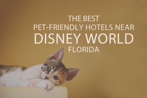 11 Best Pet-Friendly Hotels Near Disney World Florida