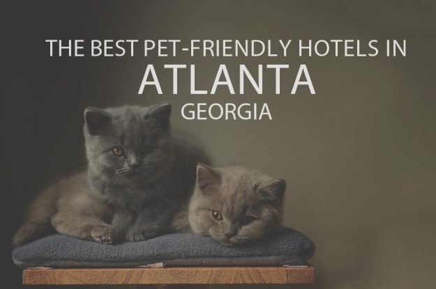 11 Best Pet-Friendly Hotels in Atlanta GA