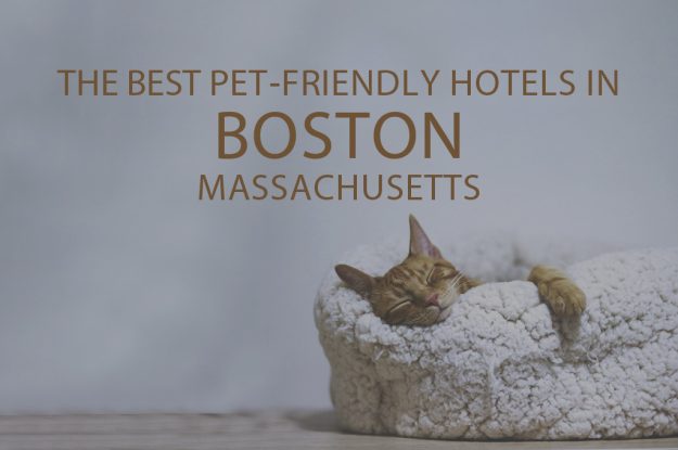 11 Best Pet-Friendly Hotels in Boston, Massachusetts