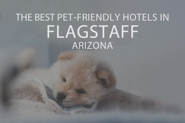 11 Best Pet-Friendly Hotels in Flagstaff Arizona
