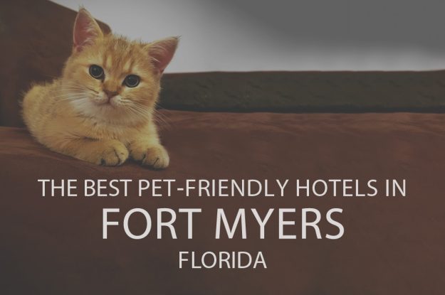 11 Best Pet-Friendly Hotels in Fort Myers, FL