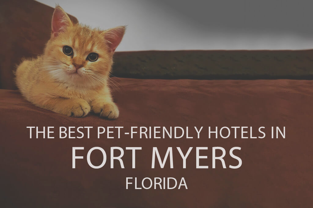 11 Best Pet-Friendly Hotels in Fort Myers, FL