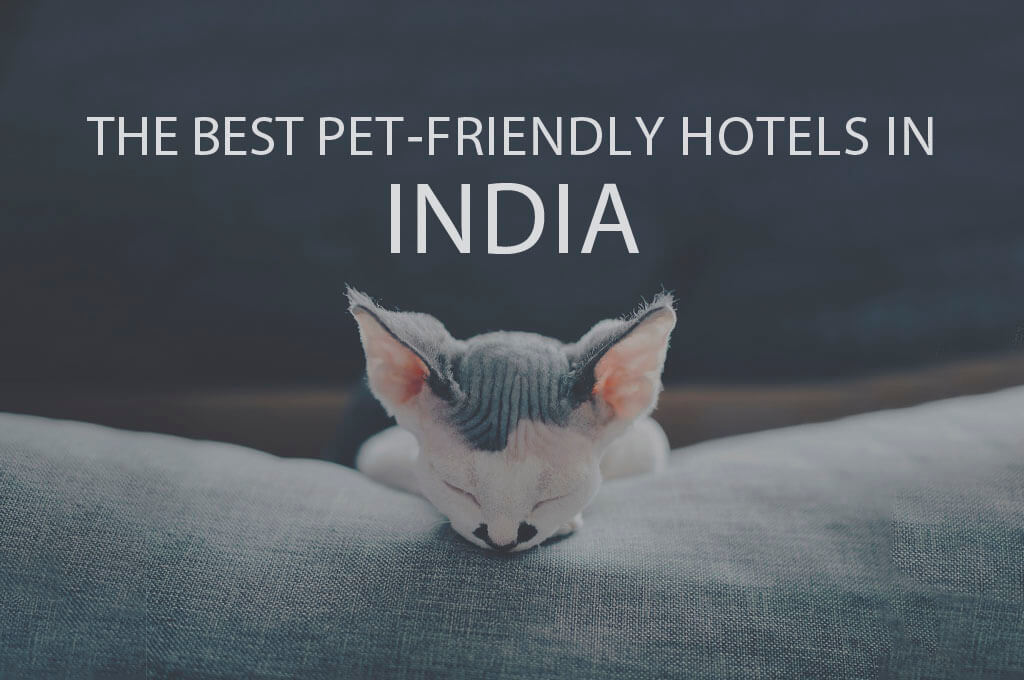 11 Best Pet-Friendly Hotels in India
