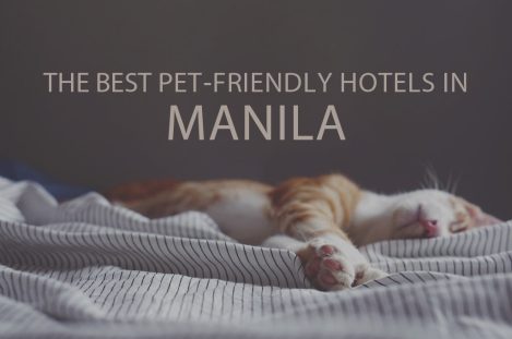 11 Best Pet-Friendly Hotels in Manila