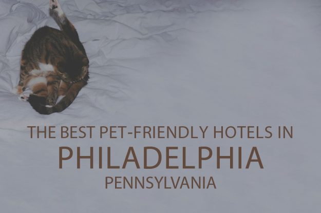 11 Best Pet-Friendly Hotels in Philadelphia, PA